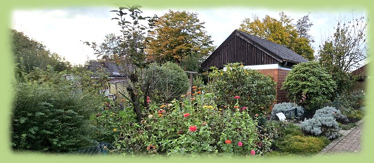 Garten 14  - Oktober - 2024