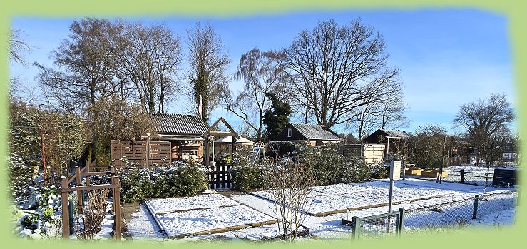 Garten 4 - 11. Januar