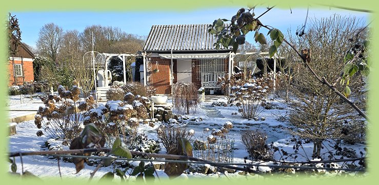 Garten 43 - 11. Januar