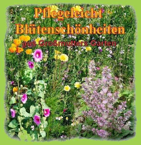 Blumengarten mit Stockrose und Muskatellersalbei1
