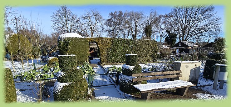 Garten 5 - 11. Januar
